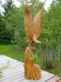 Landing Eagle With Fish On Tree Stump
